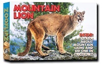 Mountain Lion